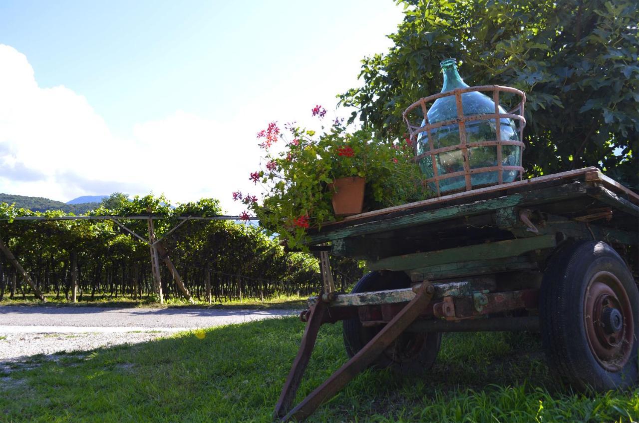 Cà Ulivi Acomodação com café da manhã Ala Exterior foto